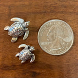 Ridley Sea Turtle - Charmworks