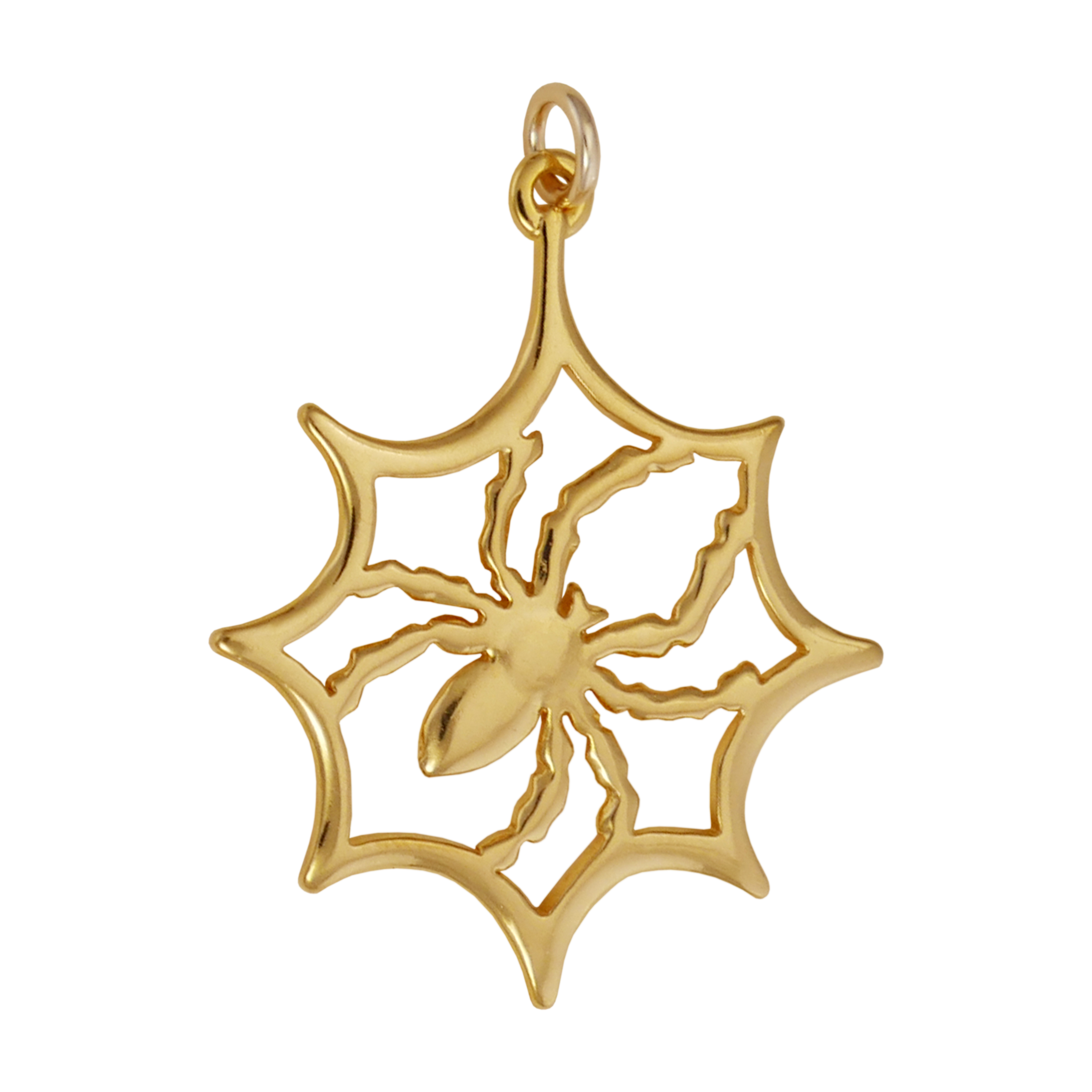 Spider In Web Charm - Charmworks