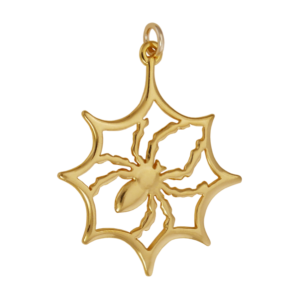 Spider In Web Charm - Charmworks