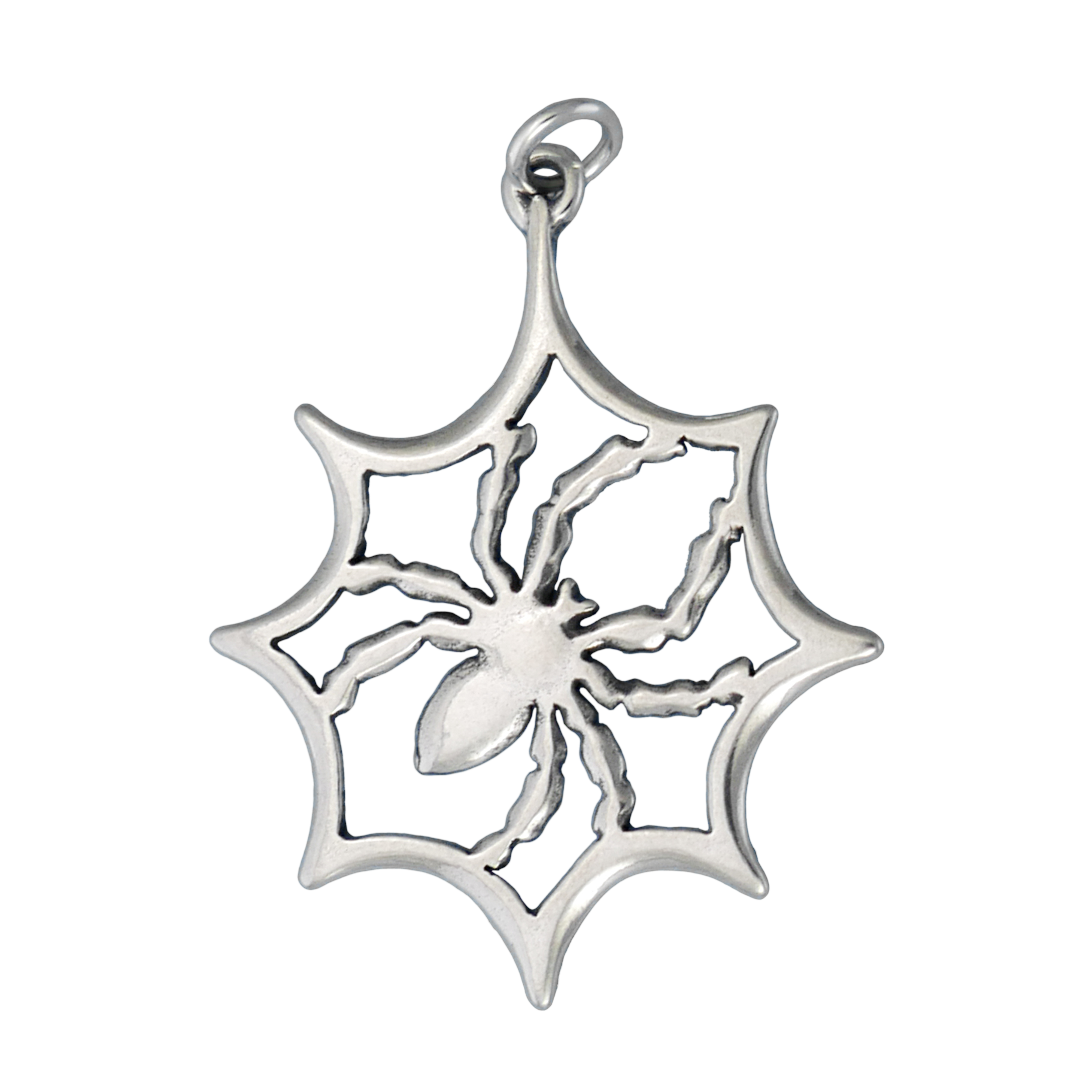 Spider In Web Charm - Charmworks