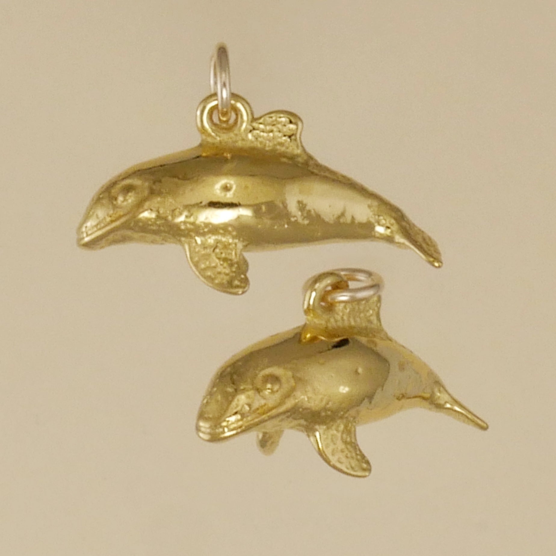 Commerson's Dolphin Charm - Charmworks