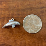 Commerson's Dolphin - Charmworks