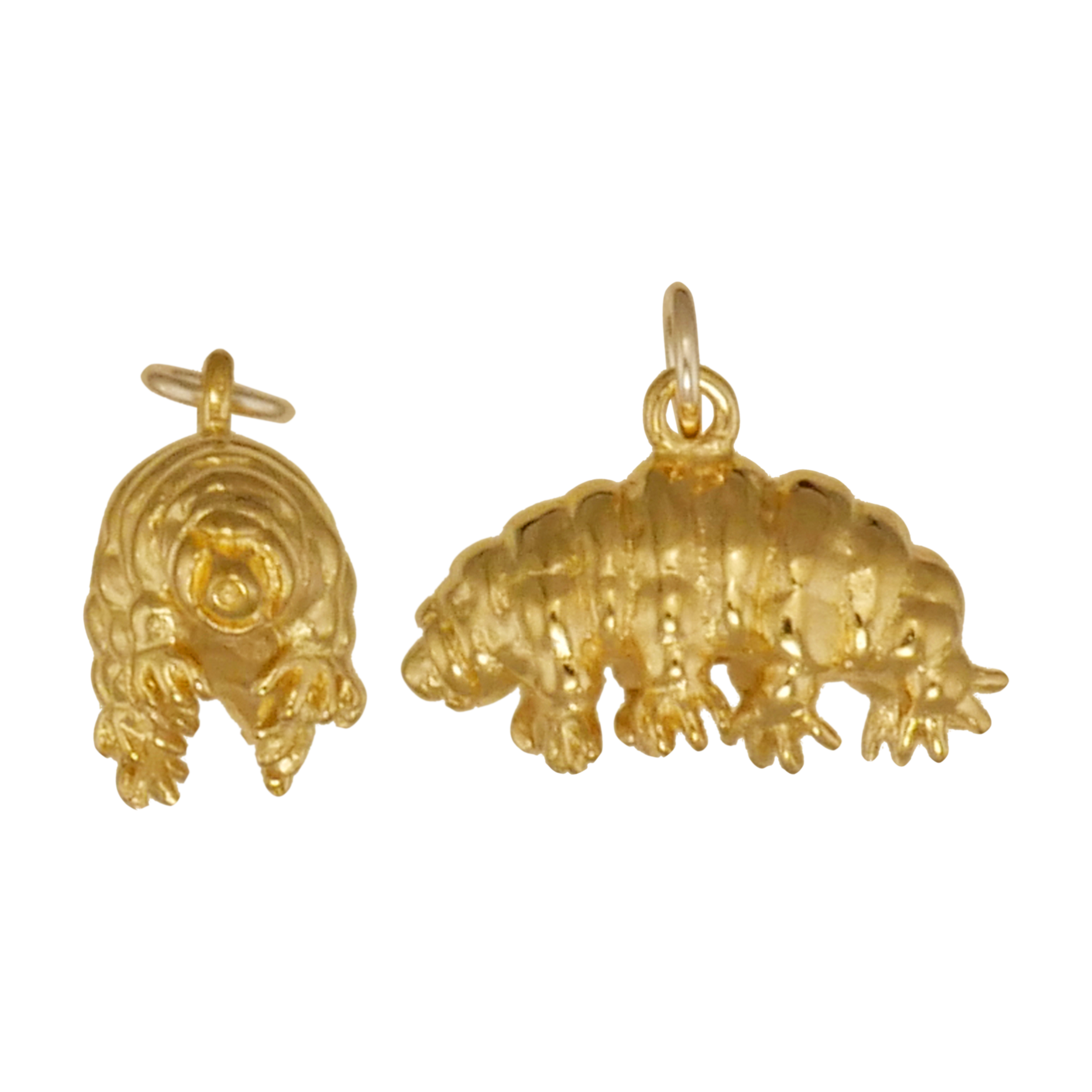 Tardigrade Pendant - Charmworks