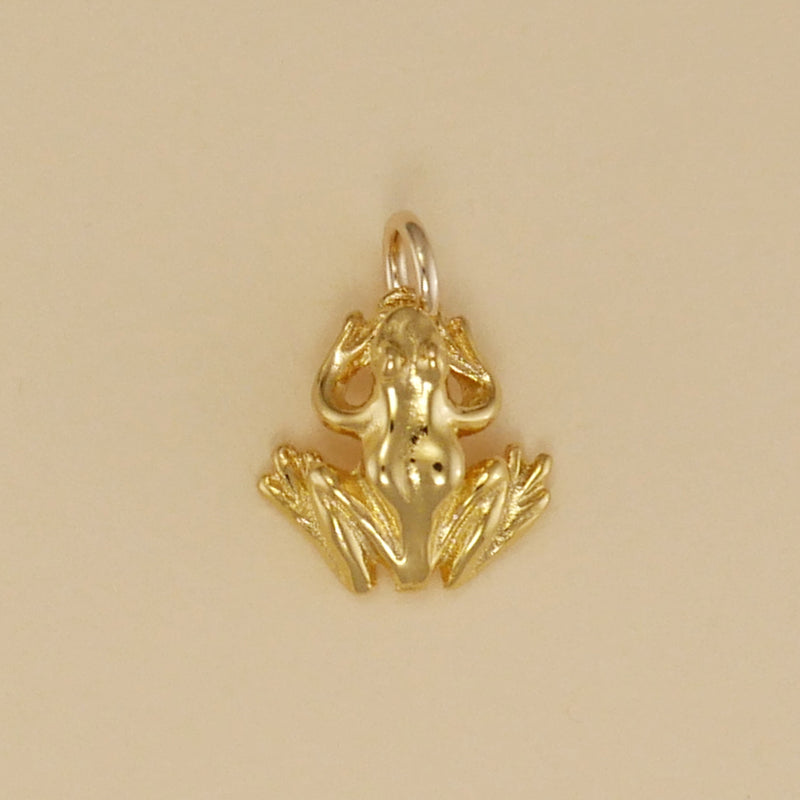Frog Charm - Charmworks