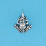Frog Charm - Charmworks