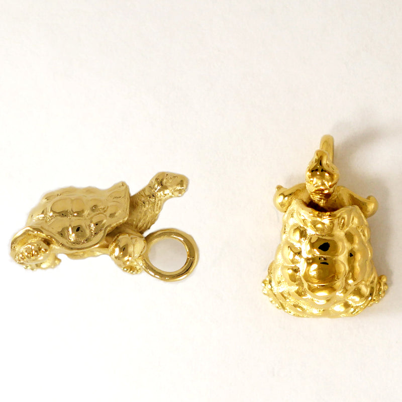 Galapagos Tortoise Pendant - Charmworks