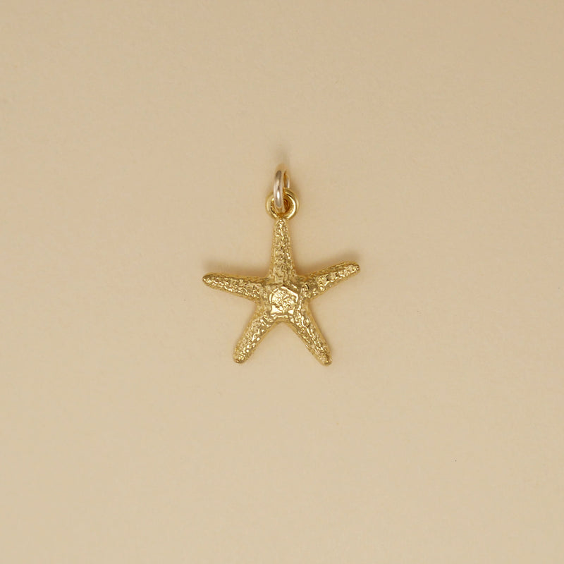 Star Fish Charm - Charmworks