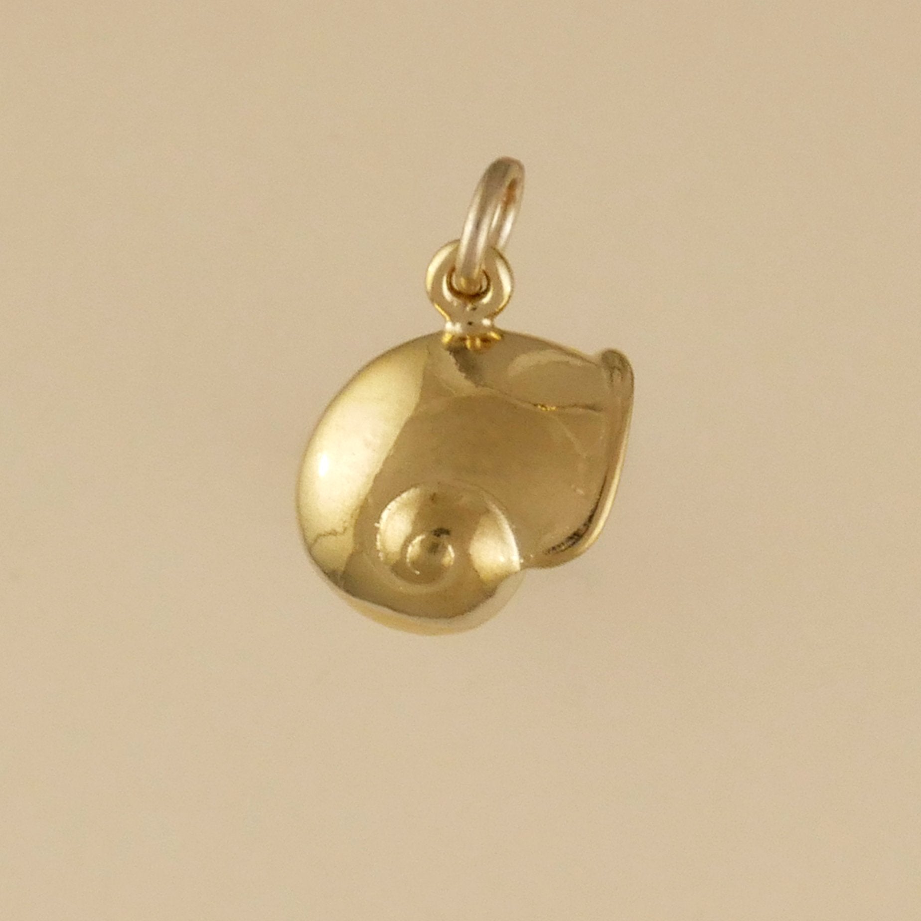 Smooth Turban Shell Charm - Charmworks