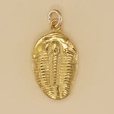 Trilobite Fossil Charm - Charmworks