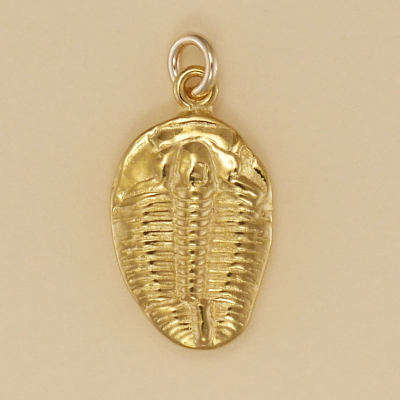 Trilobite Fossil Charm - Charmworks