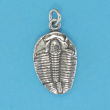 Trilobite Fossil Charm - Charmworks