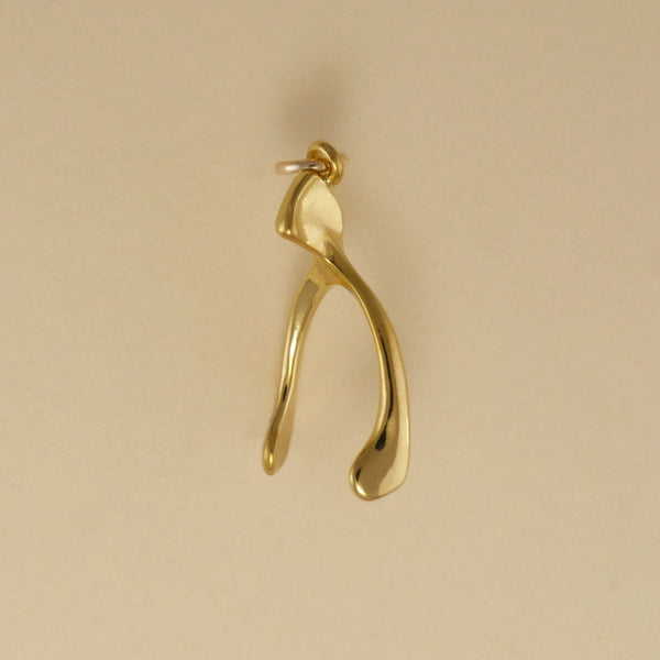 Wishbone Charm - Charmworks