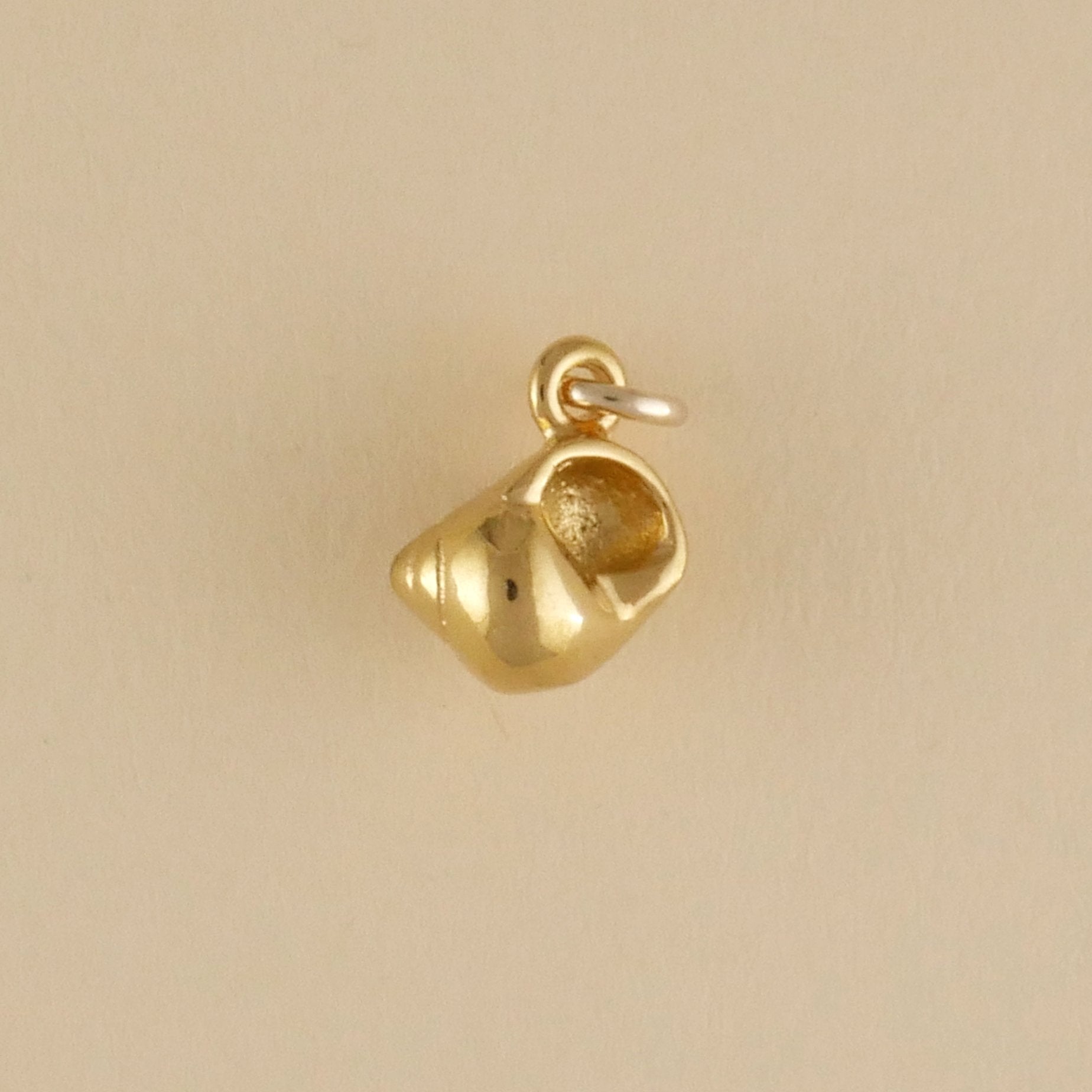 Margarita Sea Snail Shell Charm - Charmworks