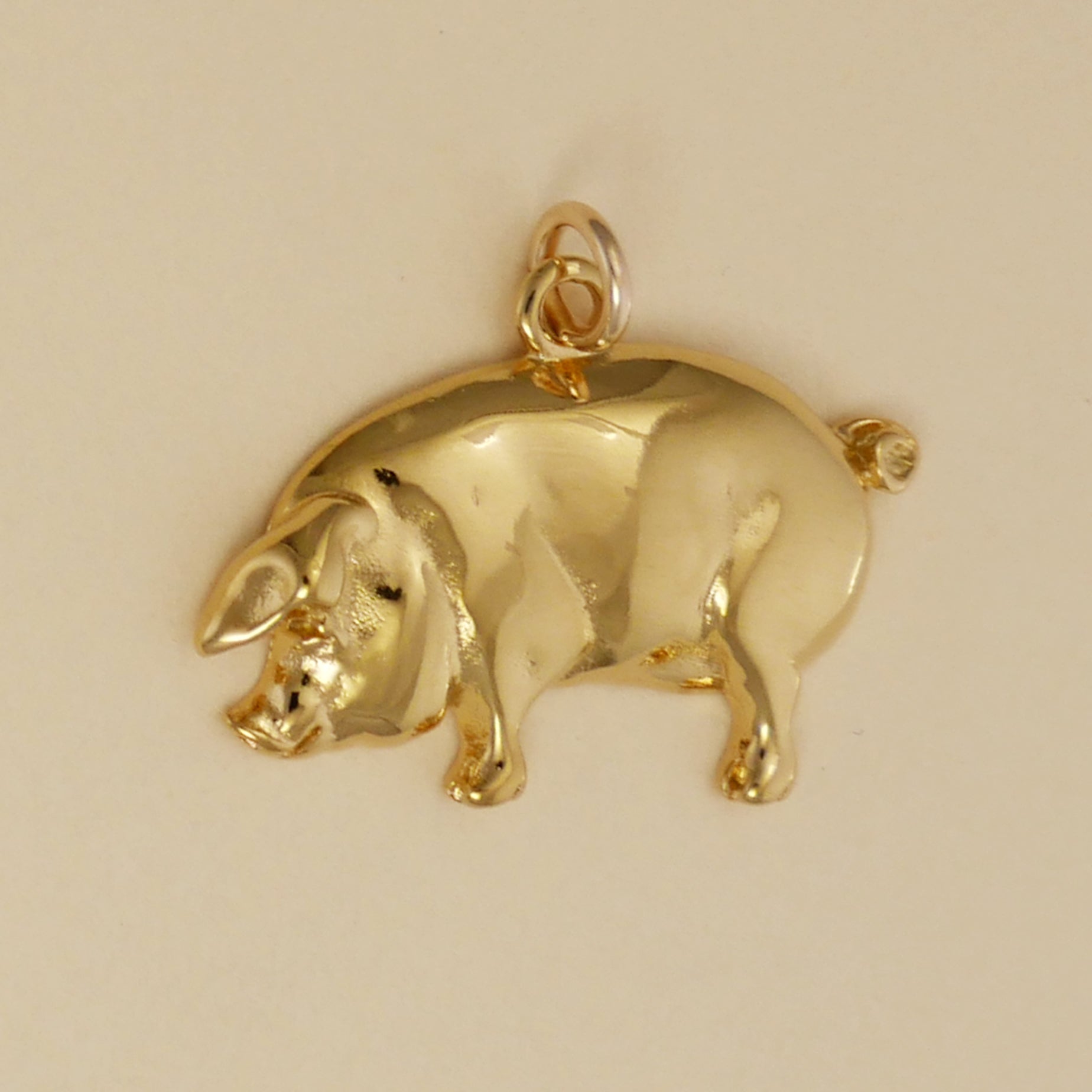 Hog Charm - Charmworks