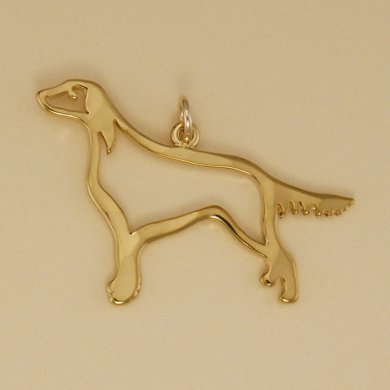Setter Charm - Charmworks