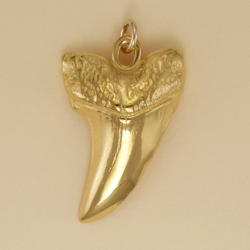 Shark Tooth Pendant - Charmworks