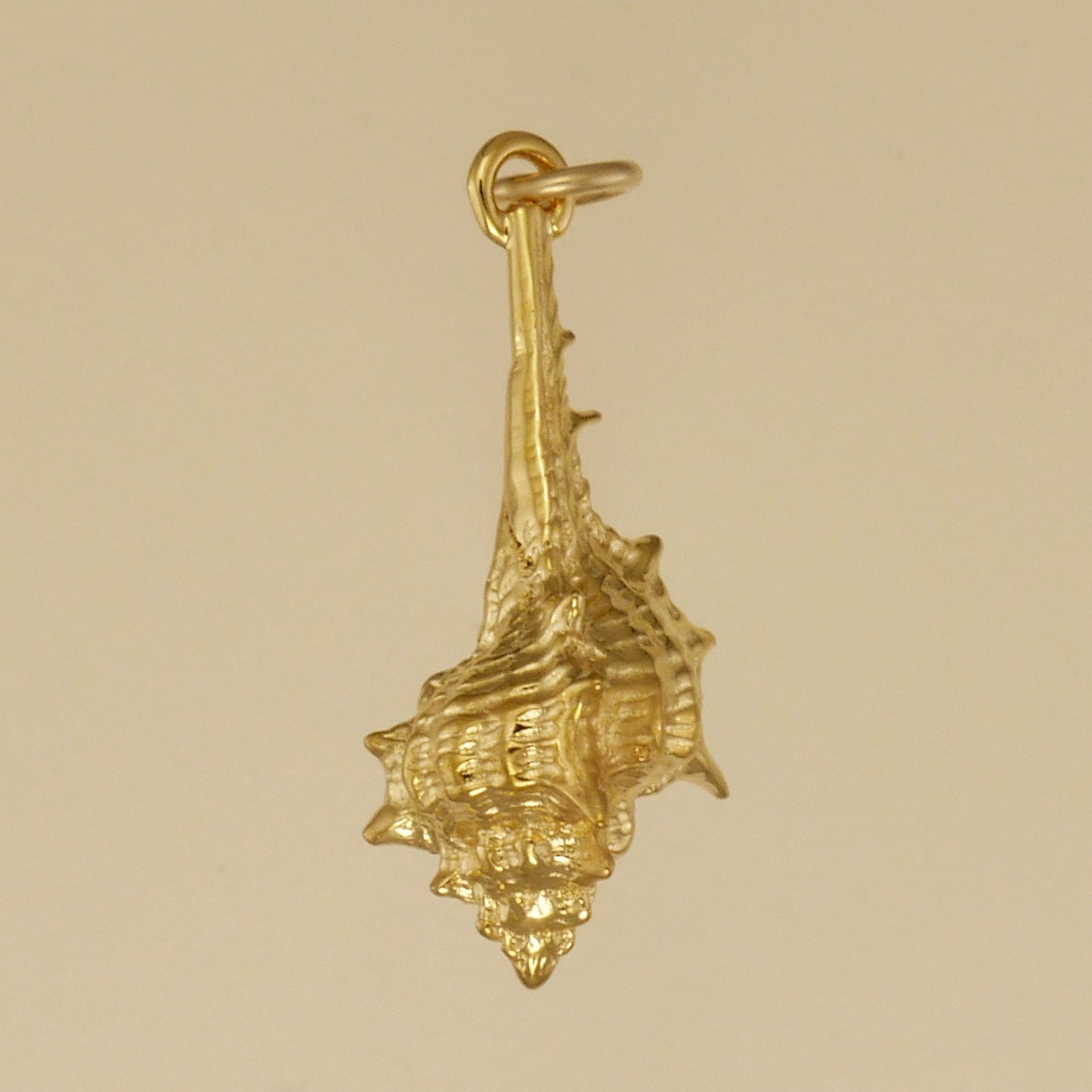 Murex Shell Charm - Charmworks