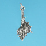 Murex Shell Charm - Charmworks