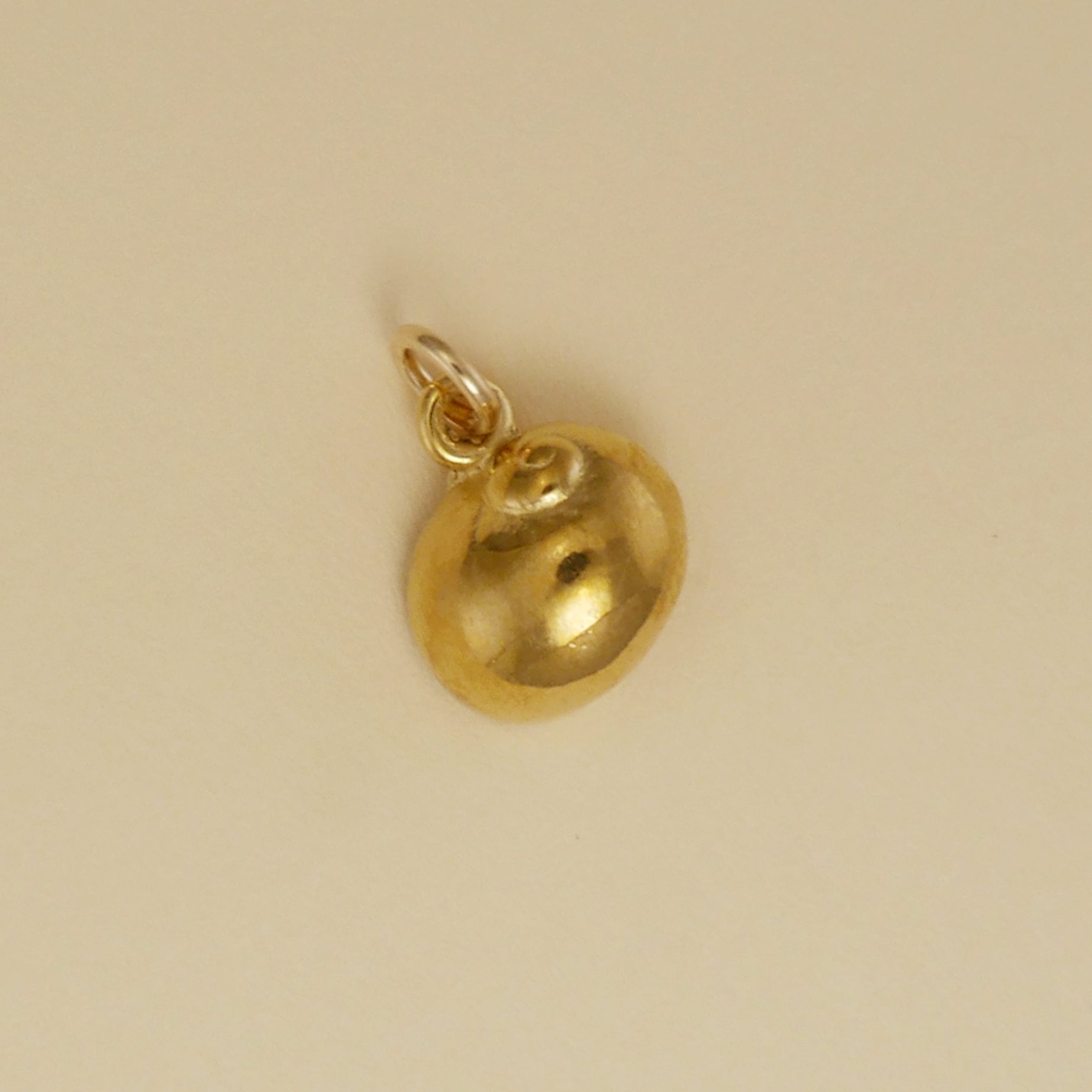 Moon Snail Shell Charm - Charmworks