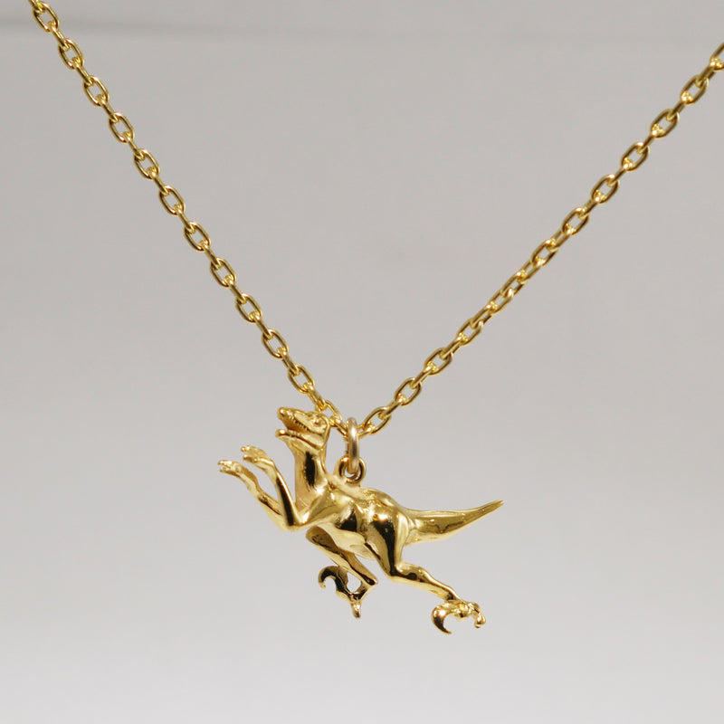 Dinosaur Necklace – Superhero Gear