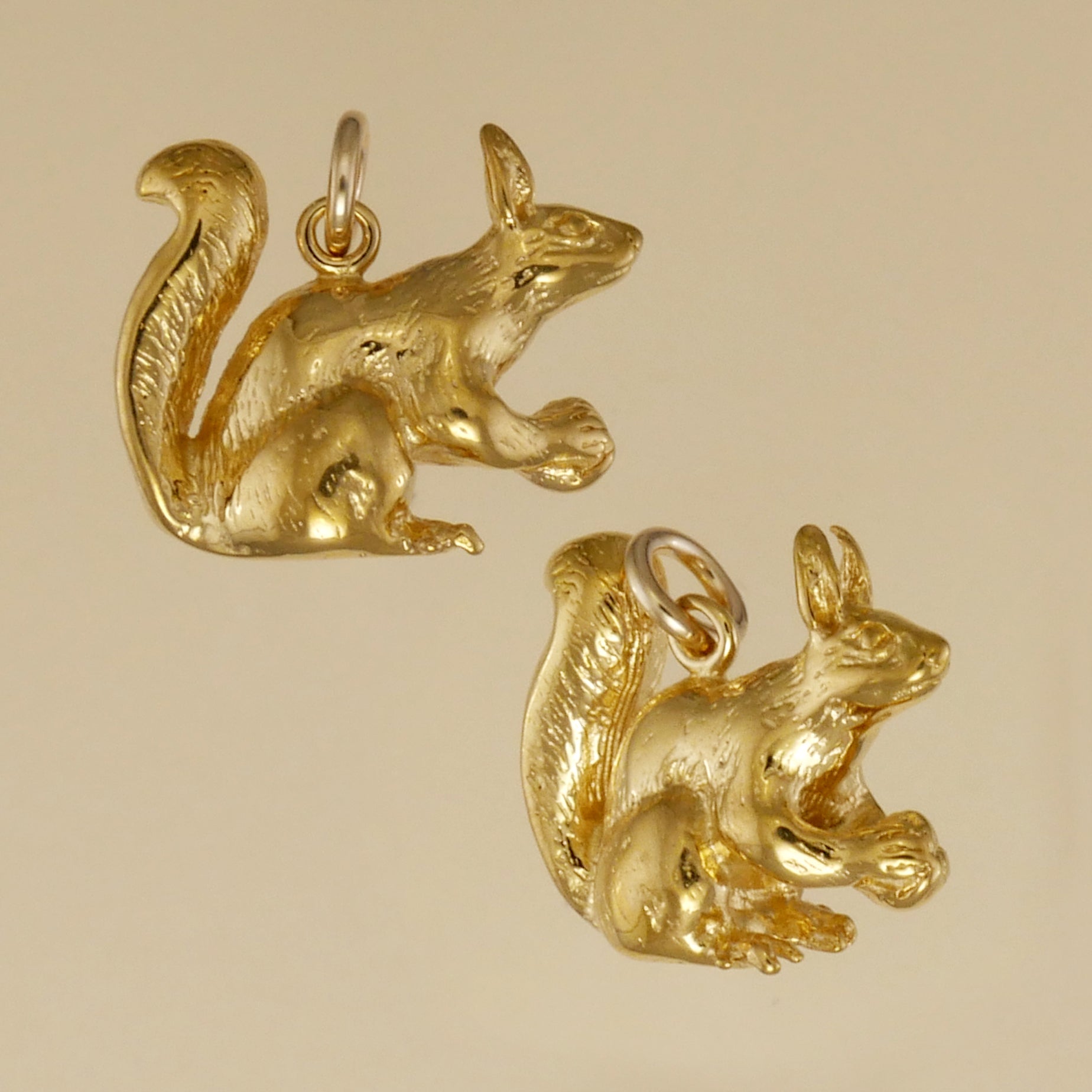 Kaibab Squirrel Charm - Charmworks