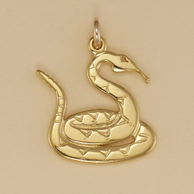 Coiled Rattlesnake Charm - Charmworks