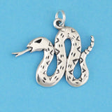 Crawling Rattlesnake Charm - Charmworks