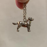 Labrador Retriever - Charmworks
