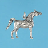Arabian Horse Charm - Charmworks