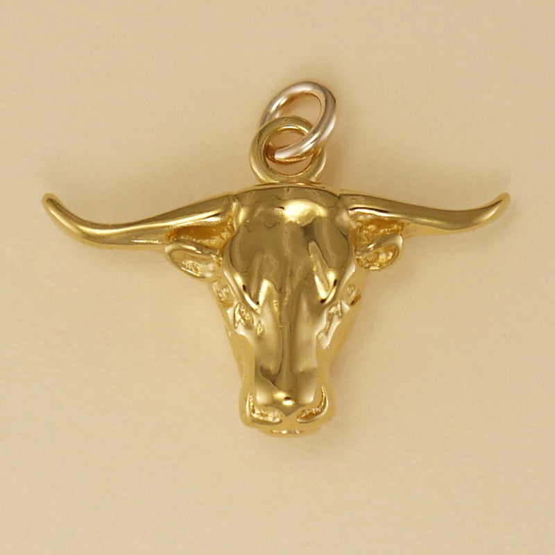 Texas Longhorn Head Charm - Charmworks