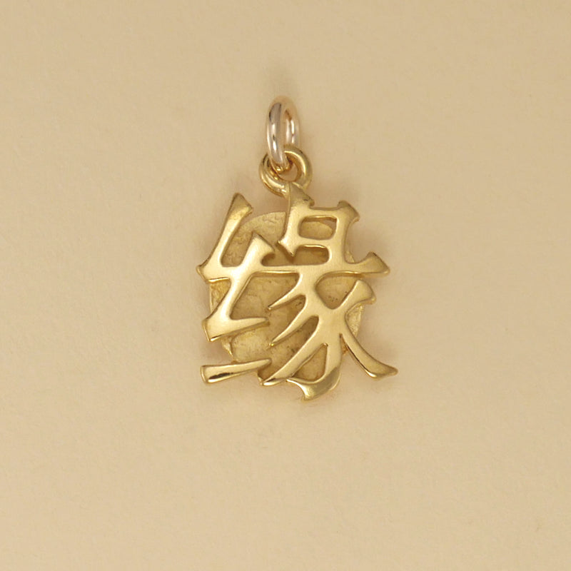 Yaun Kanji Charm - Charmworks