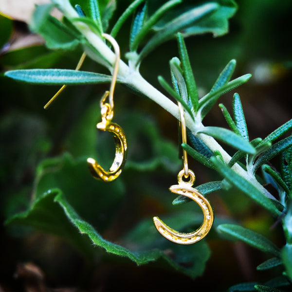 Horseshoe Earrings - Charmworks