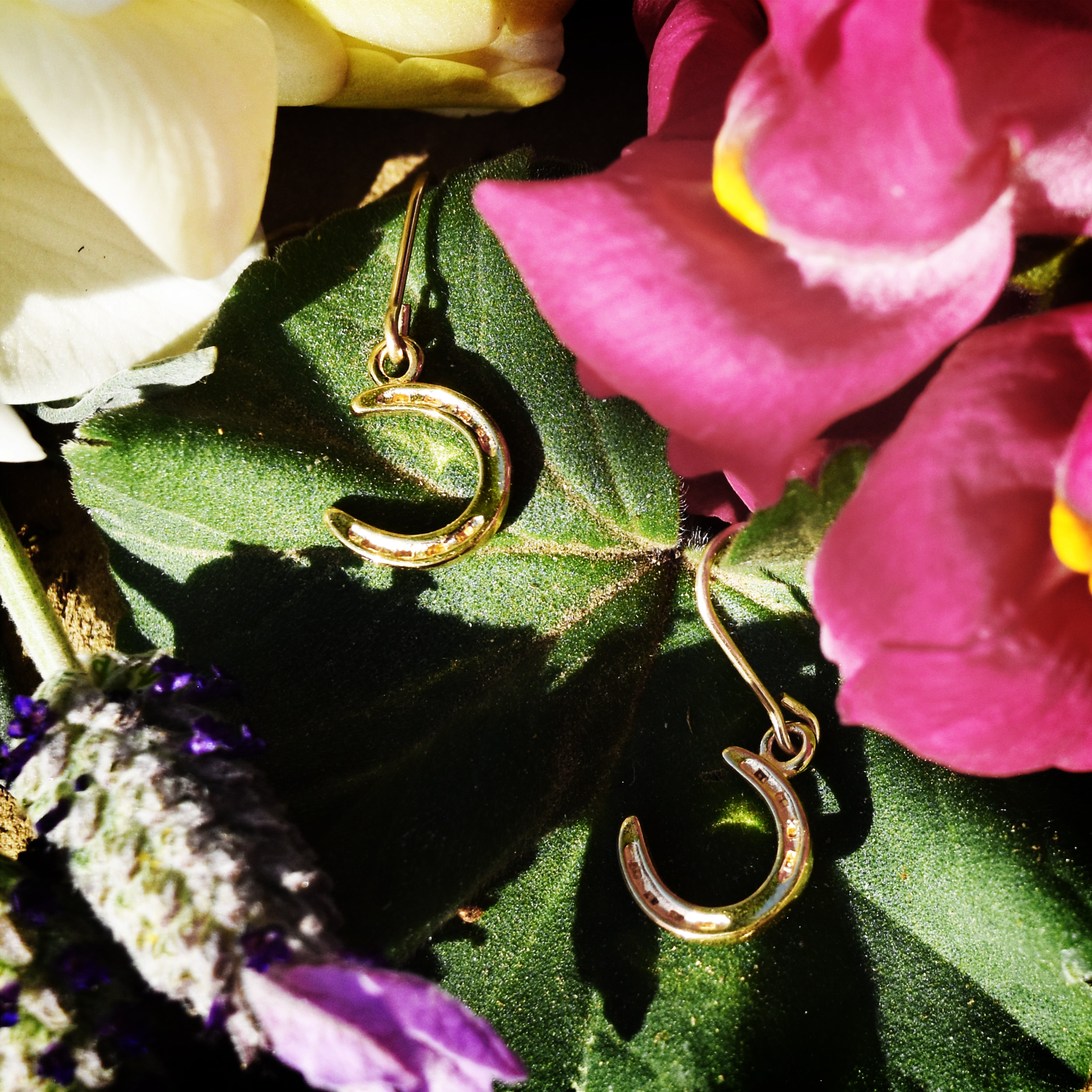Horseshoe Earrings - Charmworks