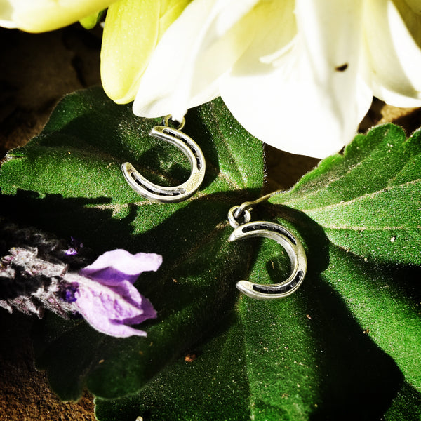 Horseshoe Earrings - Charmworks