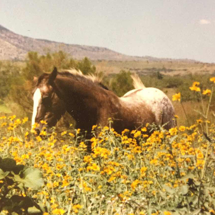 Horse With Flower Box Pendant - Charmworks