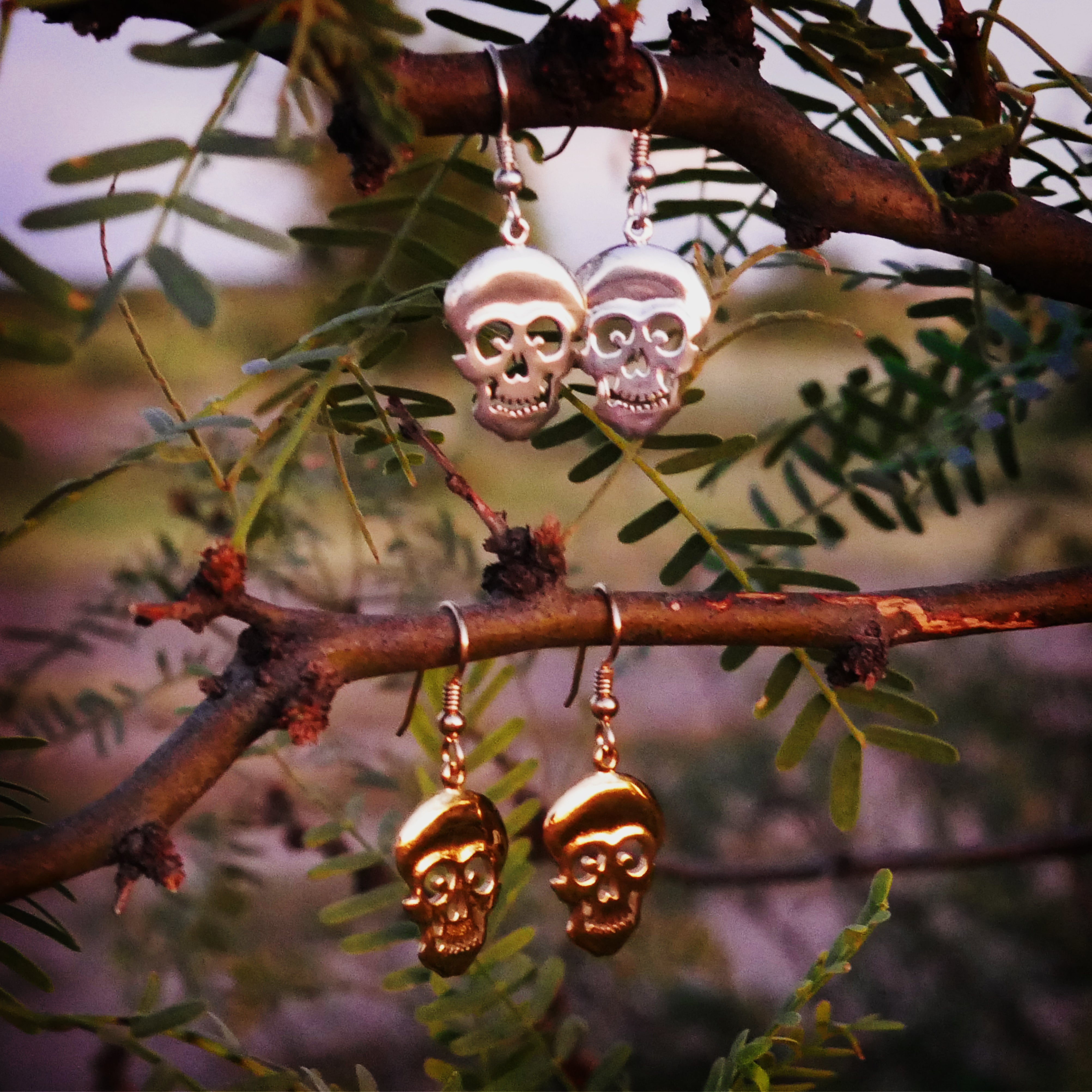 Sly Skull Earrings - Charmworks