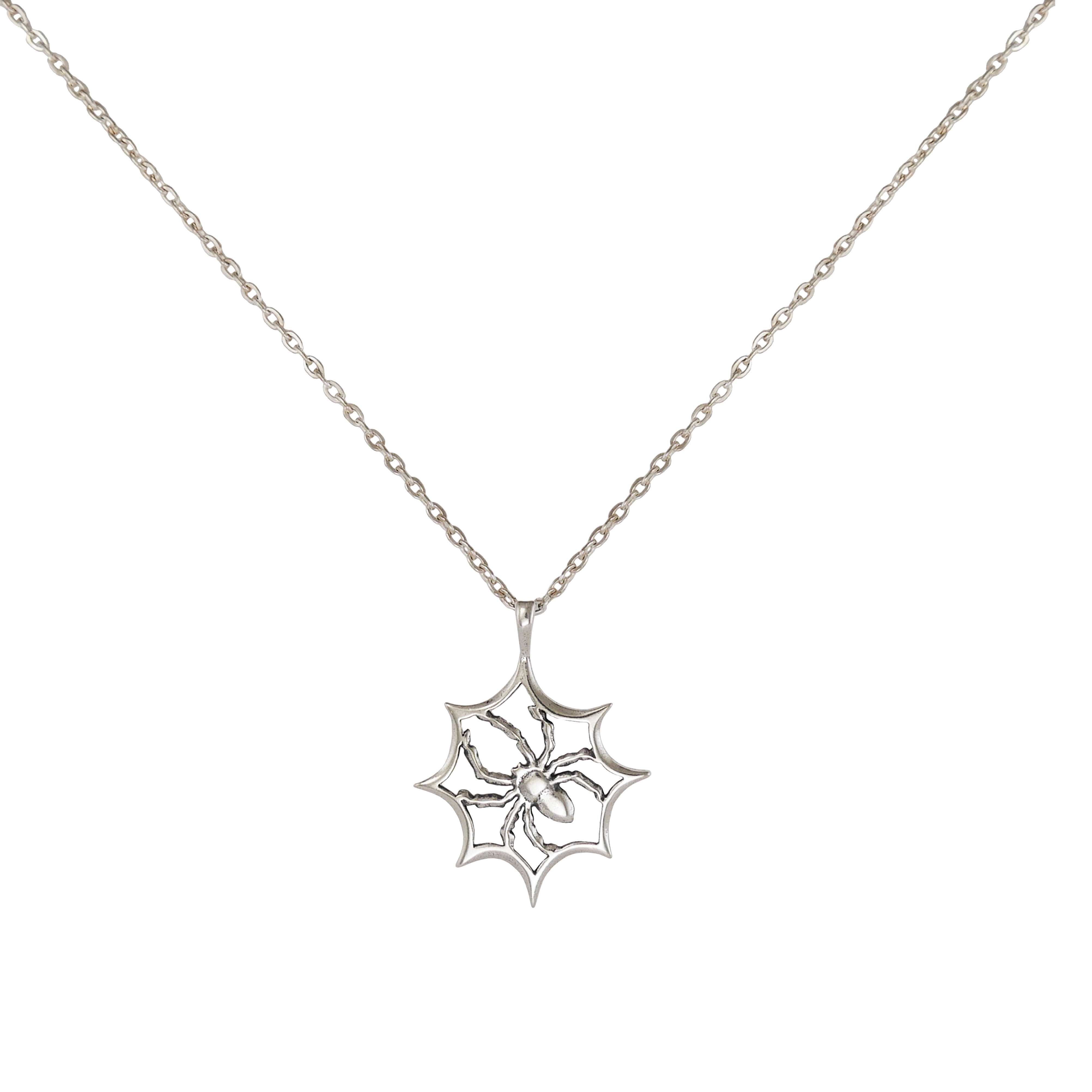 Spider In Web Necklace - Charmworks