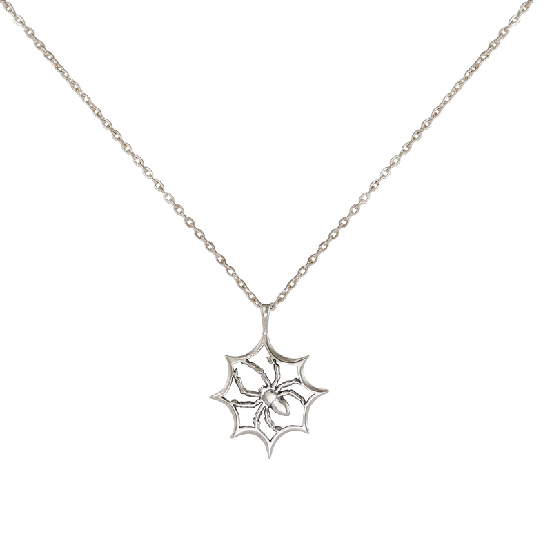 Spider In Web Necklace - Charmworks